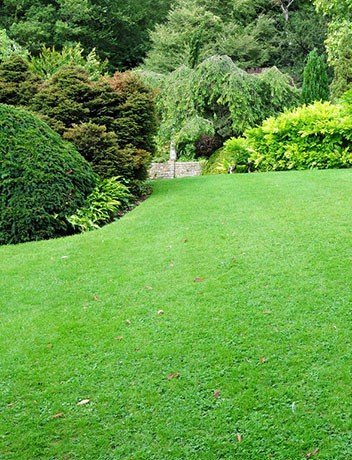 Lawn Drainage Solutions Eugene