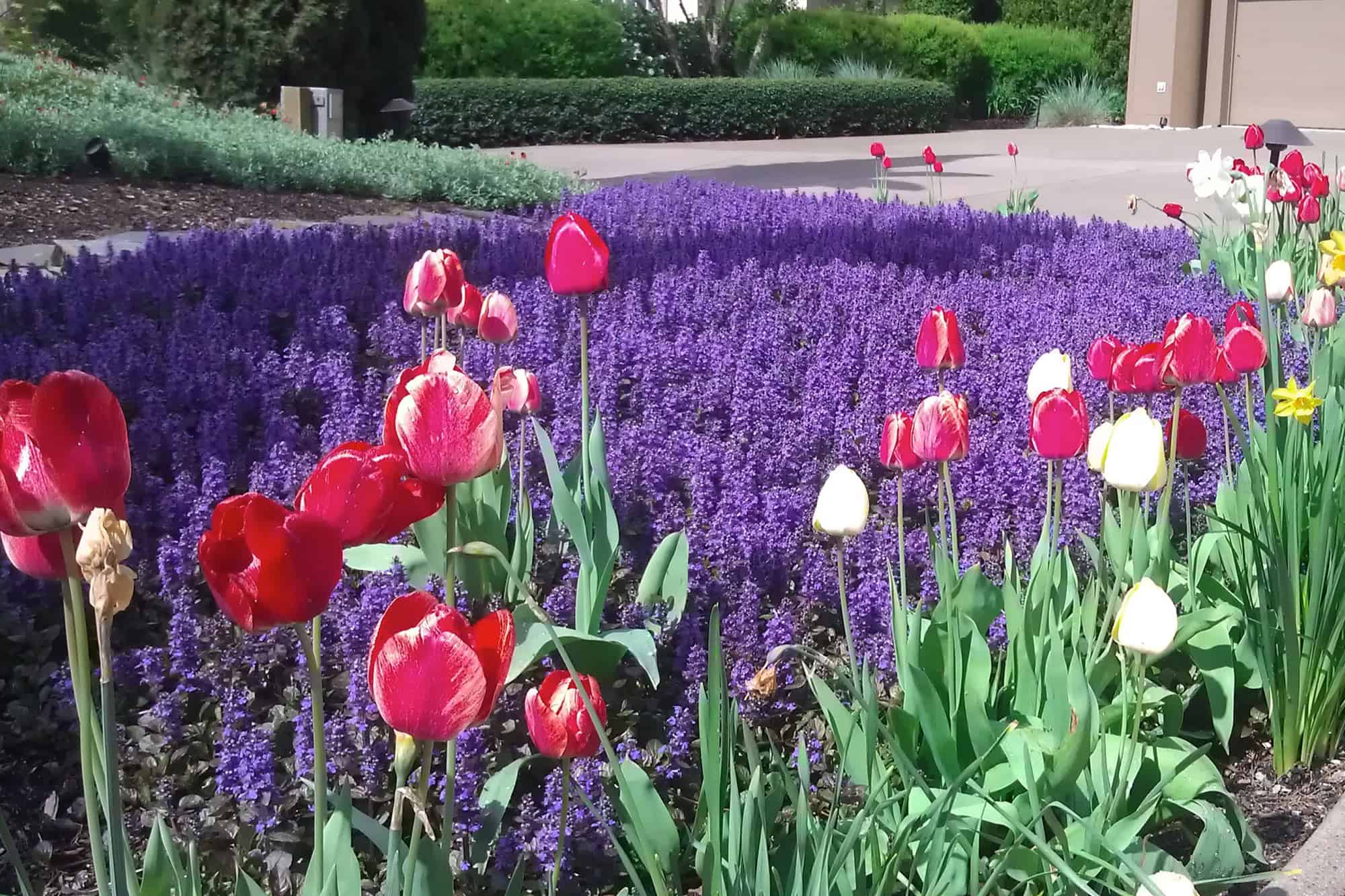 landscapers eugene oregon landscapers in Eugene or Springfield Oregon